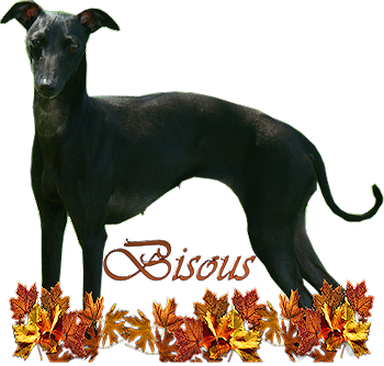 Signature pour Colette