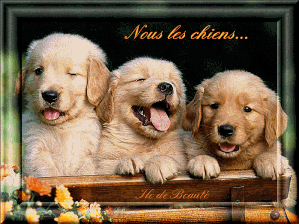 Avant les vacances!!!